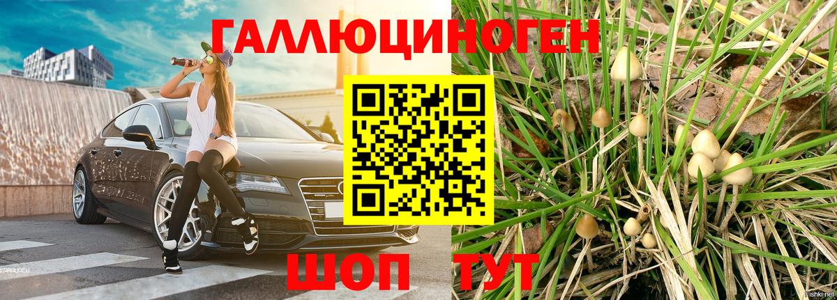 Псилоцибиновые грибы Cubensis Сорочинск