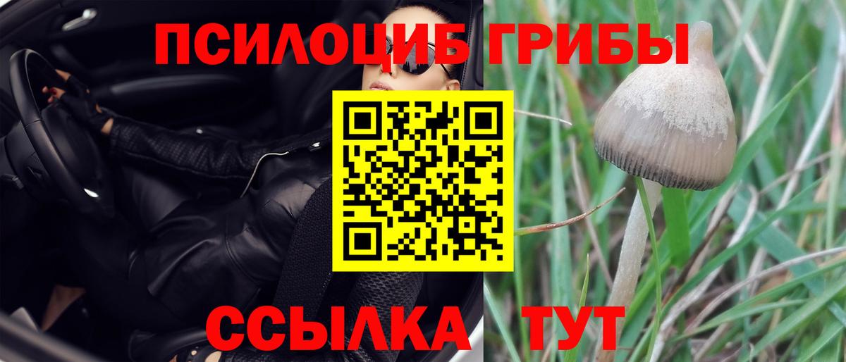 Галлюциногенные грибы Psilocybe  Вход с VPN  Галлюциногенные грибы Magic Shrooms  Сорочинск 